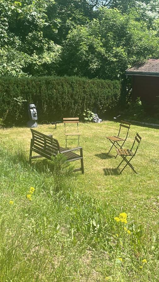 Chill Out Lodge Im Naturparadies Braunlage Bagian luar foto